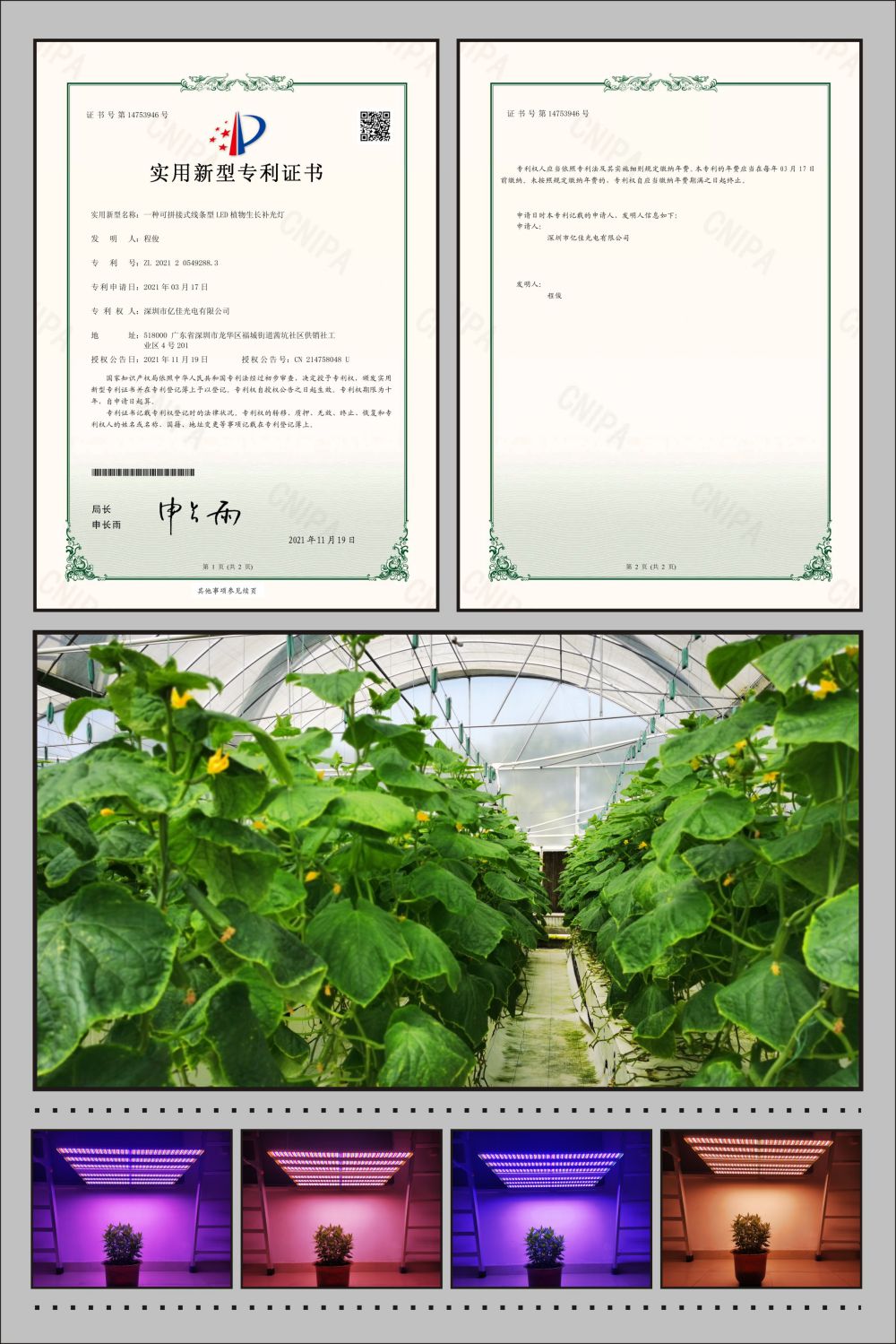 凯时人生就是博首页植物农场灯适用新型专利